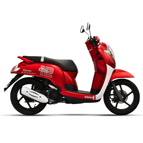 Blenta sp 110