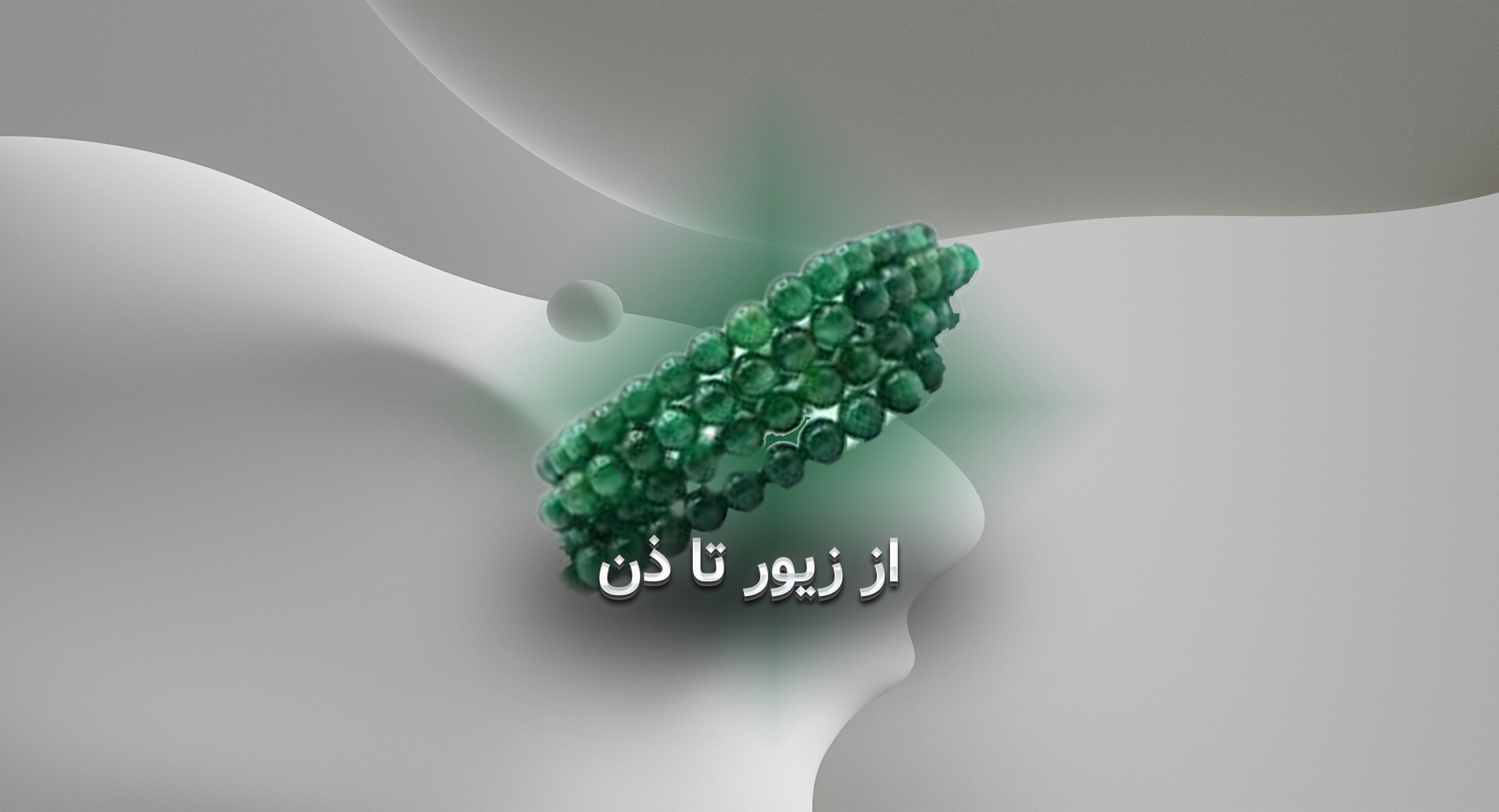درخشش دلربا در زندگی روزمره؛ از زیور تا ذن