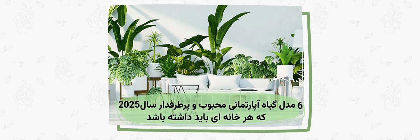 ۶ مدل گیاه آپارتمانی محبوب و پرطرفدار سال ۲۰۲۵