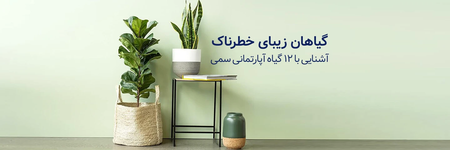 گیاهان زیبای خطرناک؛ آشنایی با ۱۲ گیاه آپارتمانی سمی