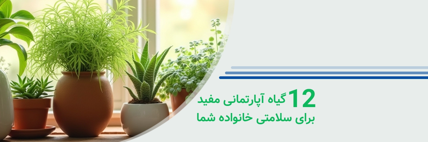 ۱۲ گیاه آپارتمانی مفید برای سلامتی خانواده شما
